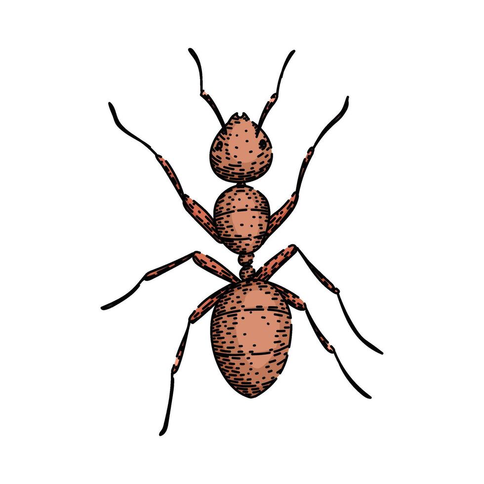nest ant sketch hand drawn vector
