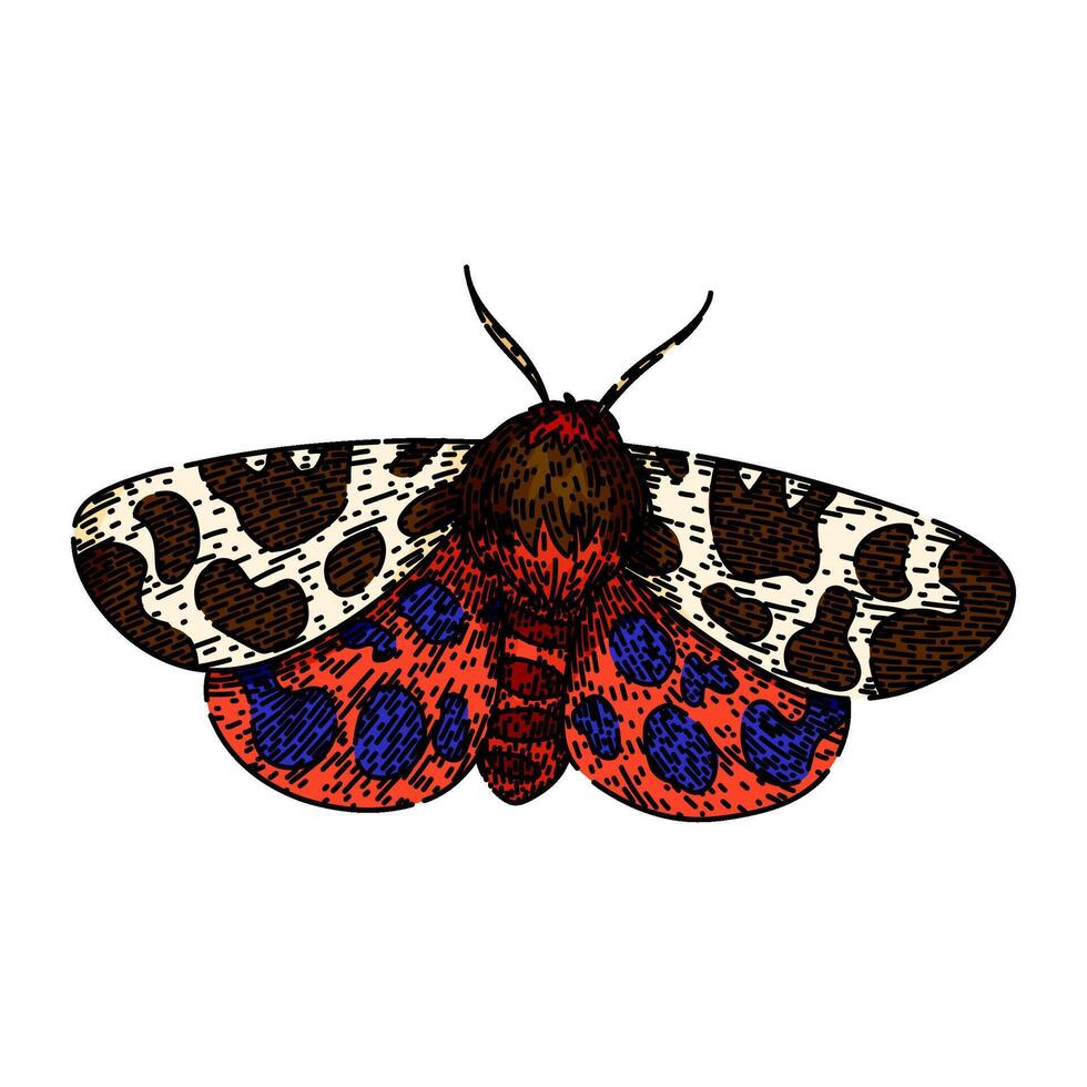 camouflage night moth sketch hand drawn vector