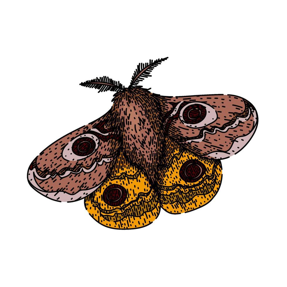 antennae night moth sketch hand drawn vector