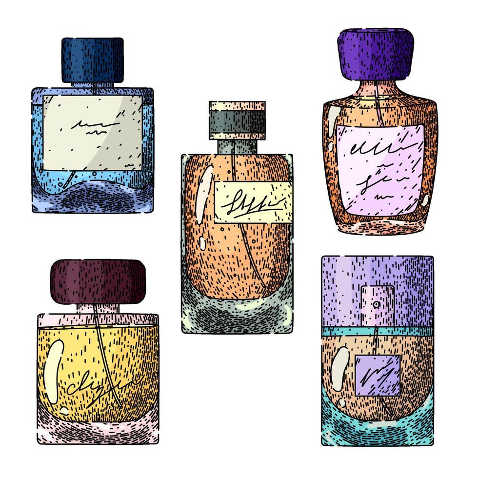 perfum bottle male set sketch hand drawn vector