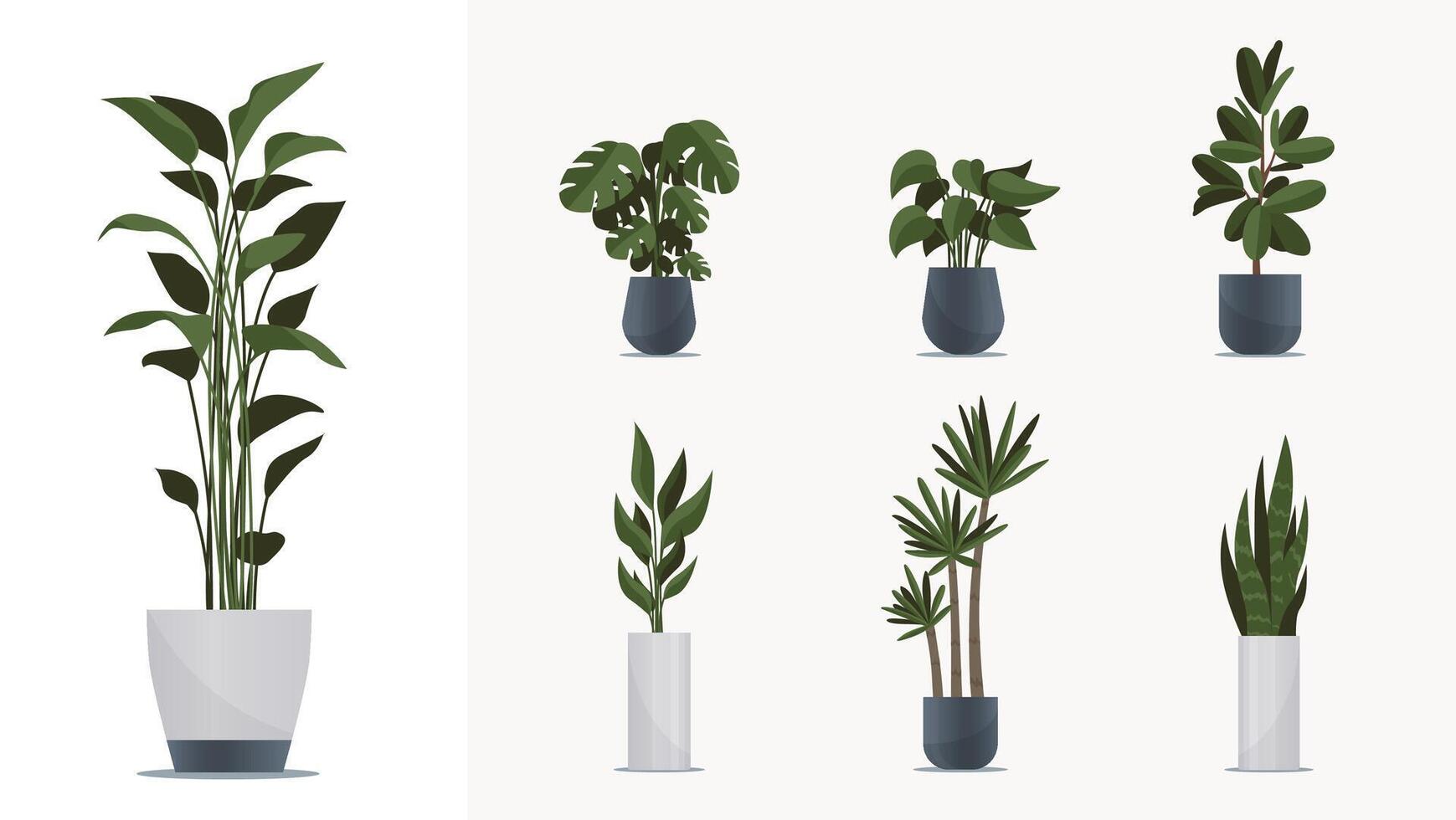 Big indoor plants pack. Elements for animation, design interiors, game, advertisign, illustration or web. Collection of green homeplants in pots, flat style vector