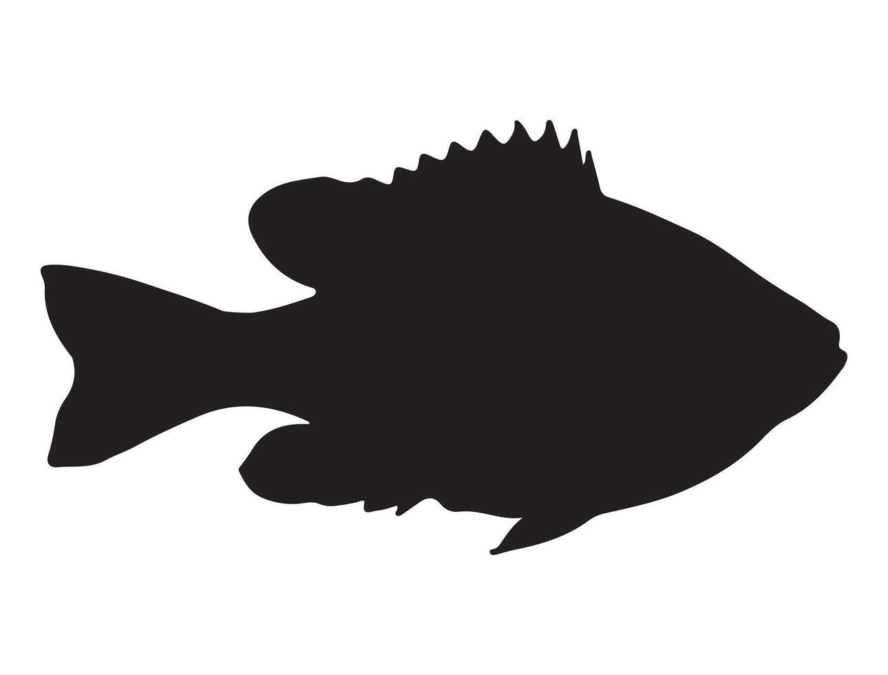 Pumpkinseed fish silhouette on white background vector