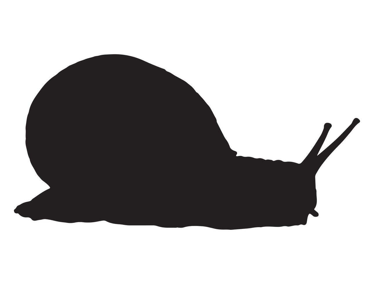 Snail silhouette on white background vector
