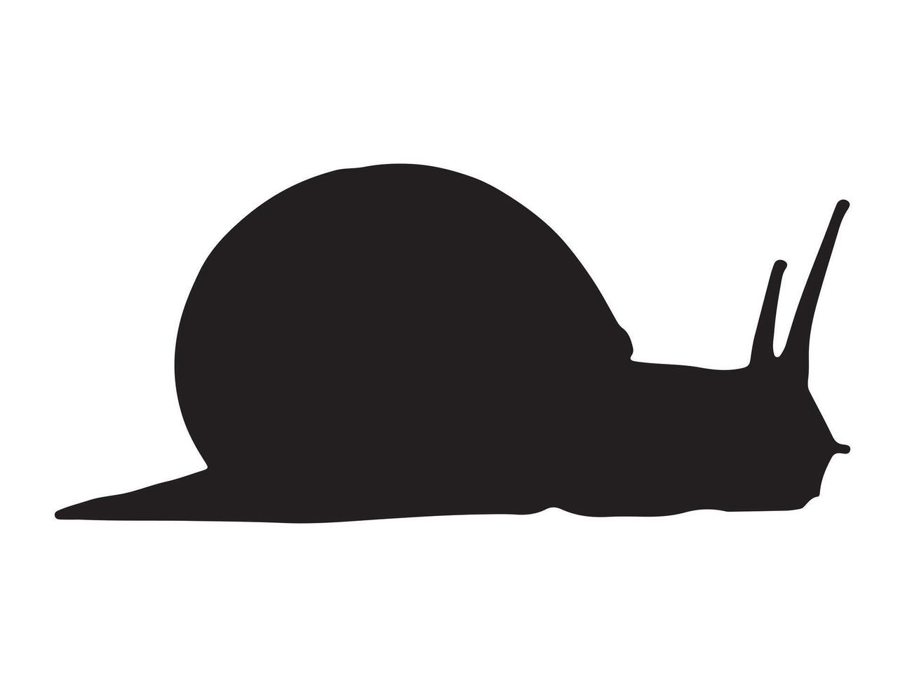 Snail silhouette on white background vector