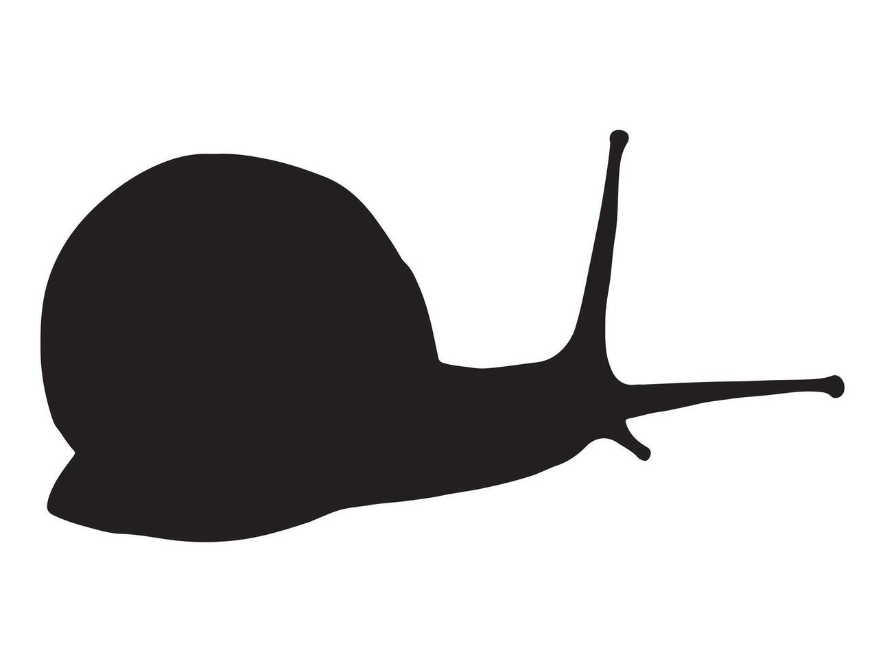 Snail silhouette on white background vector