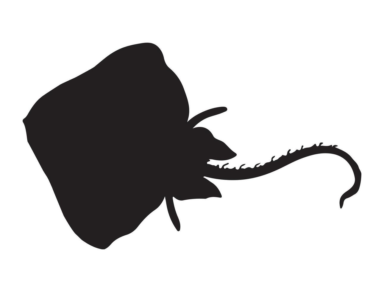 Skate silhouette on white background vector