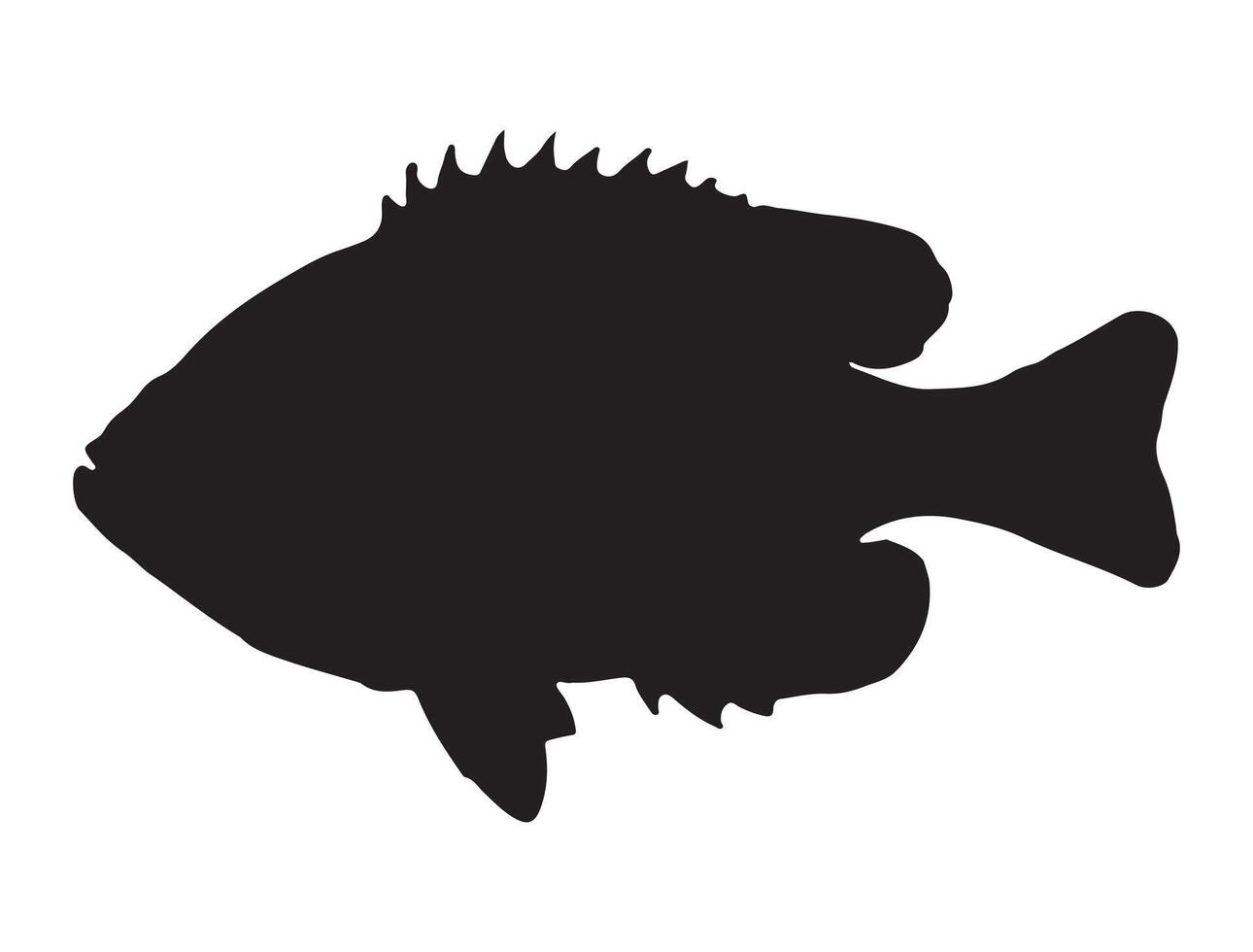 Pumpkinseed fish silhouette on white background vector