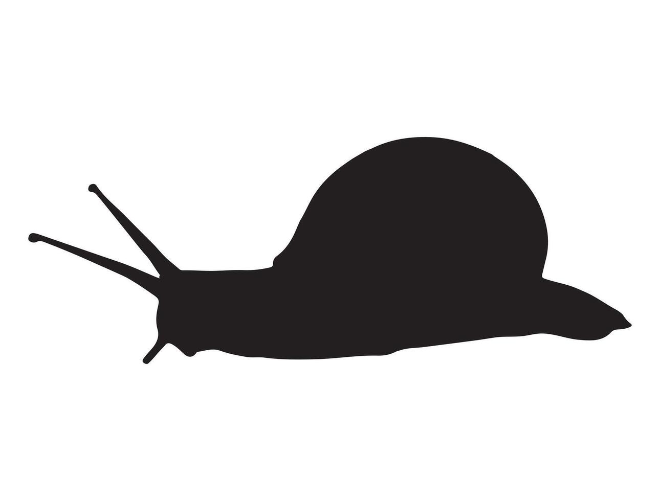 Snail silhouette on white background vector