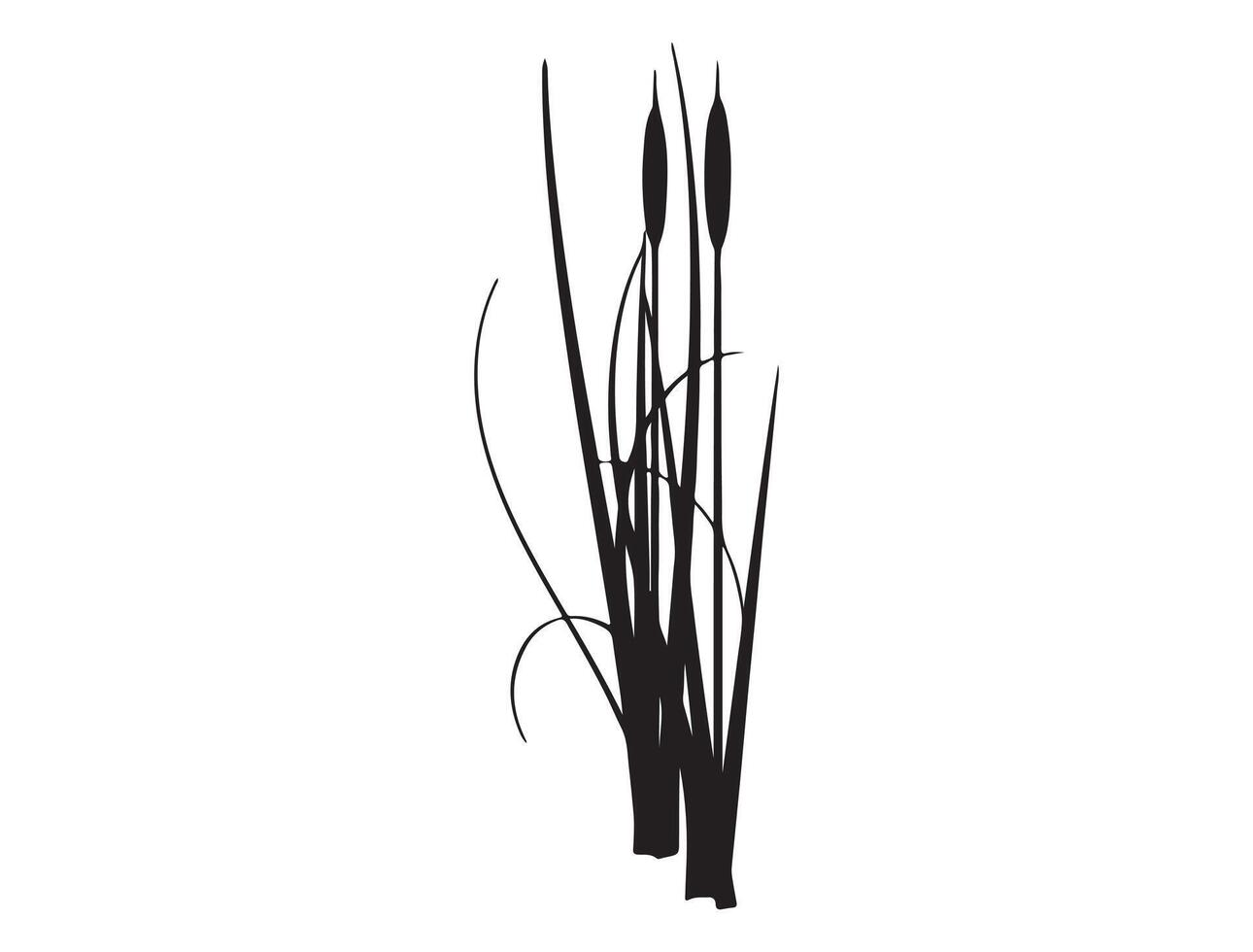 Cattail silhouette on white background vector
