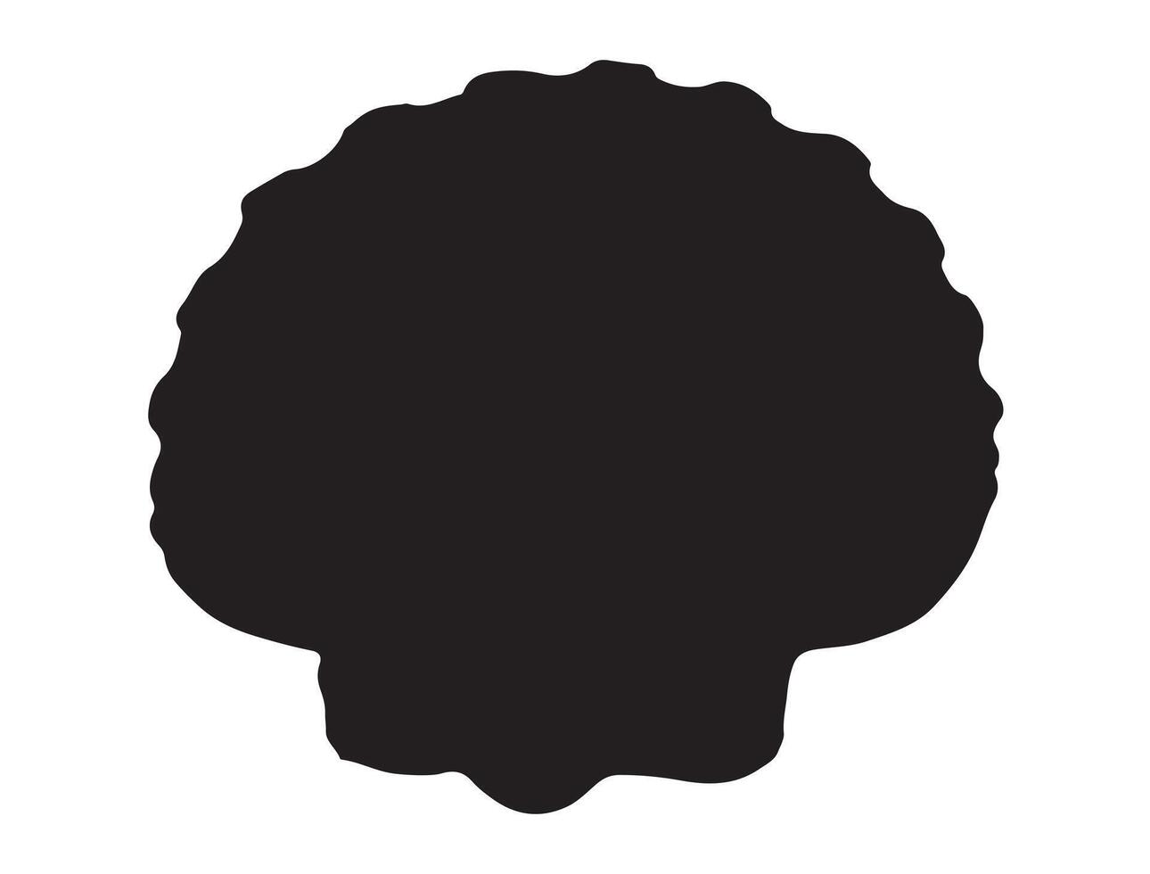 Seashell silhouette on white background vector