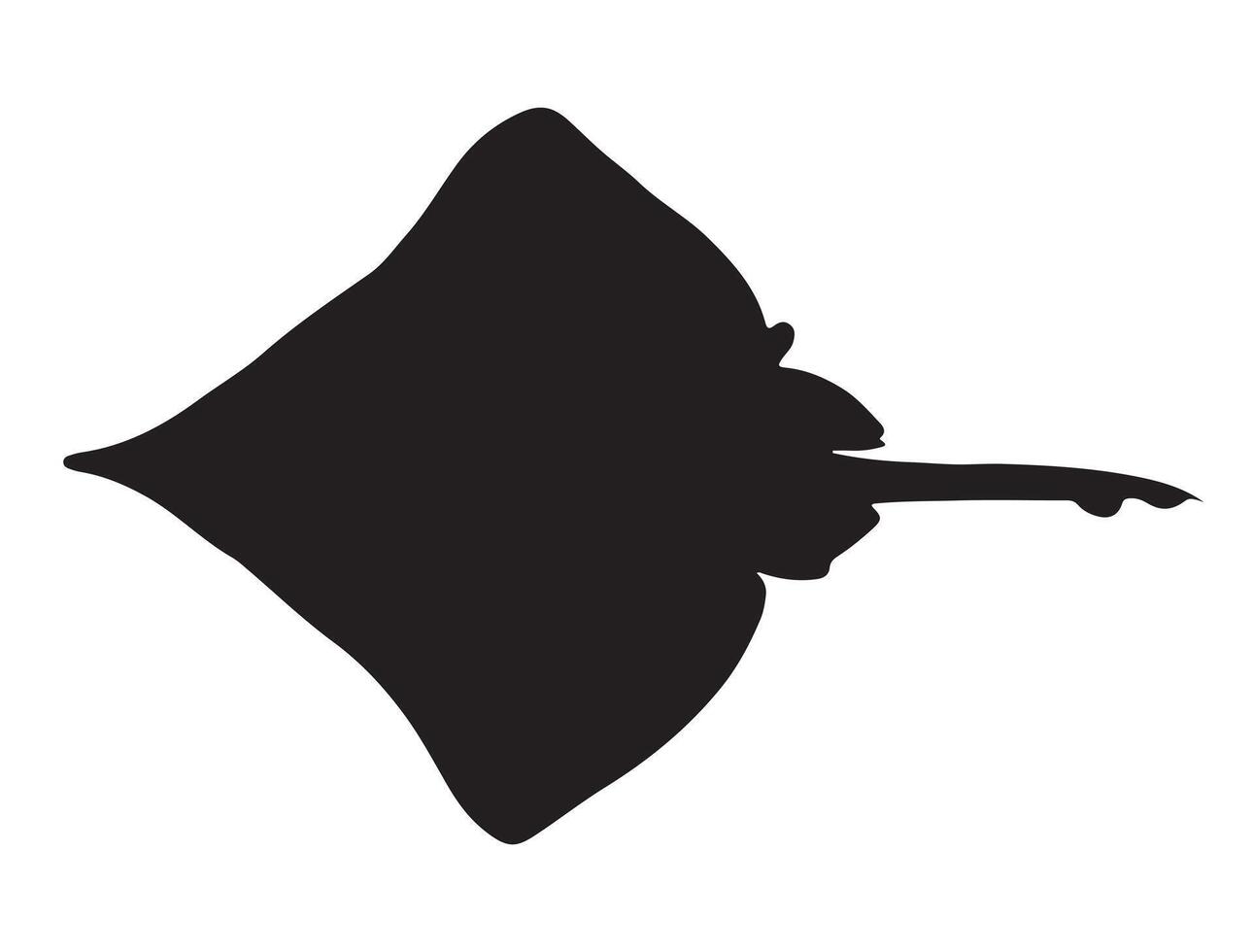 Skate silhouette on white background vector