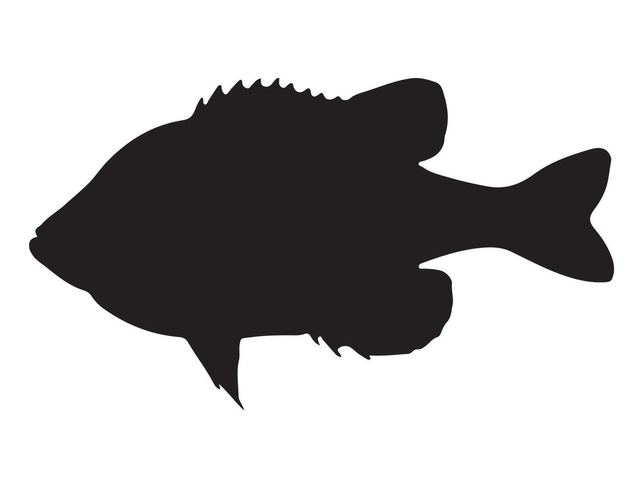 Pumpkinseed fish silhouette on white background vector
