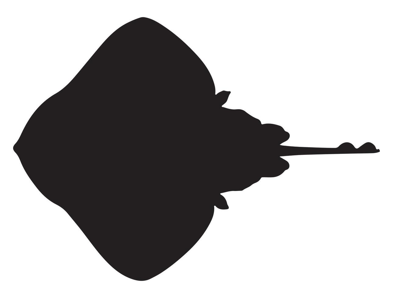 Skate silhouette on white background vector
