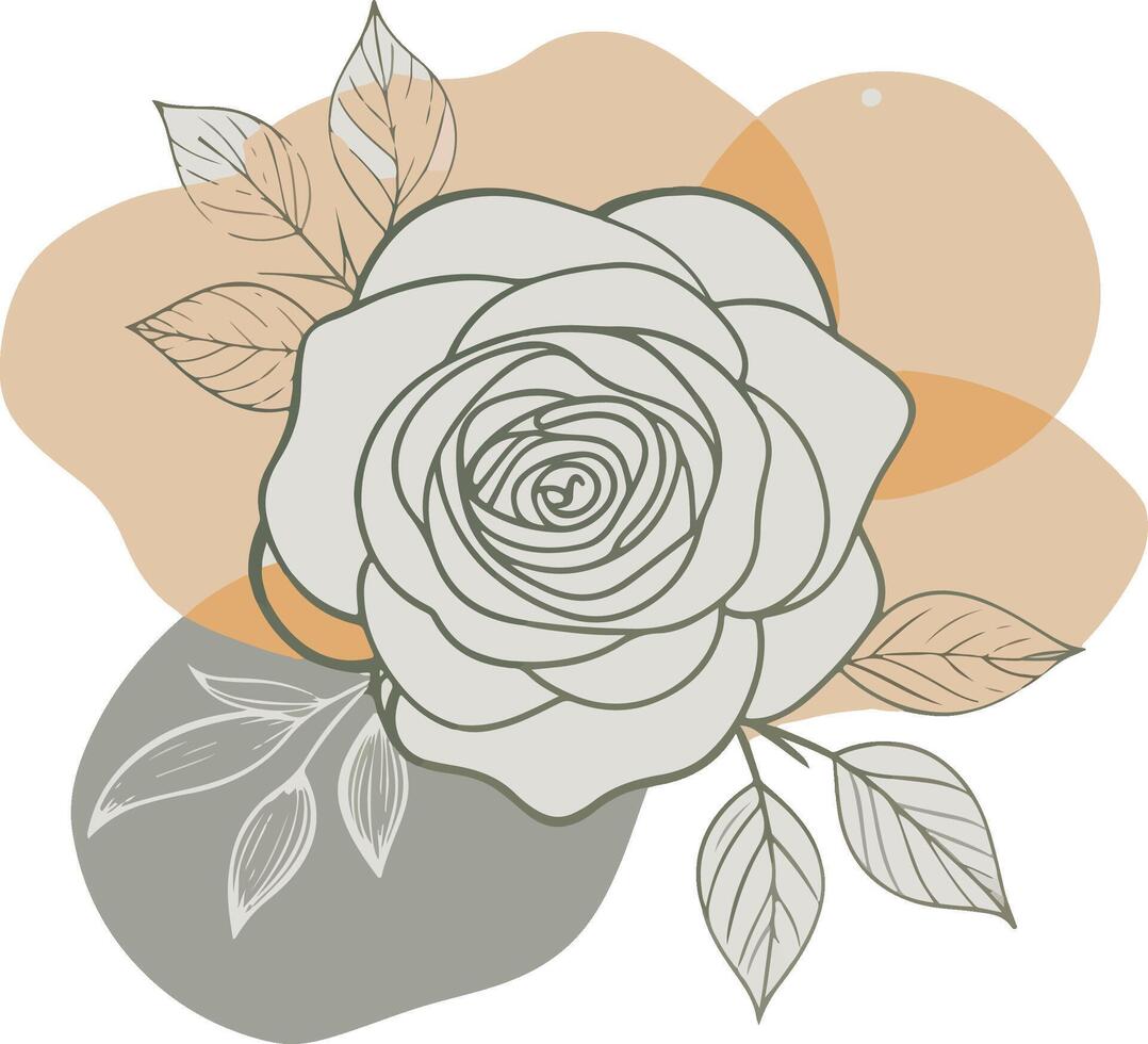 rose line art illustration with color blobs style vector