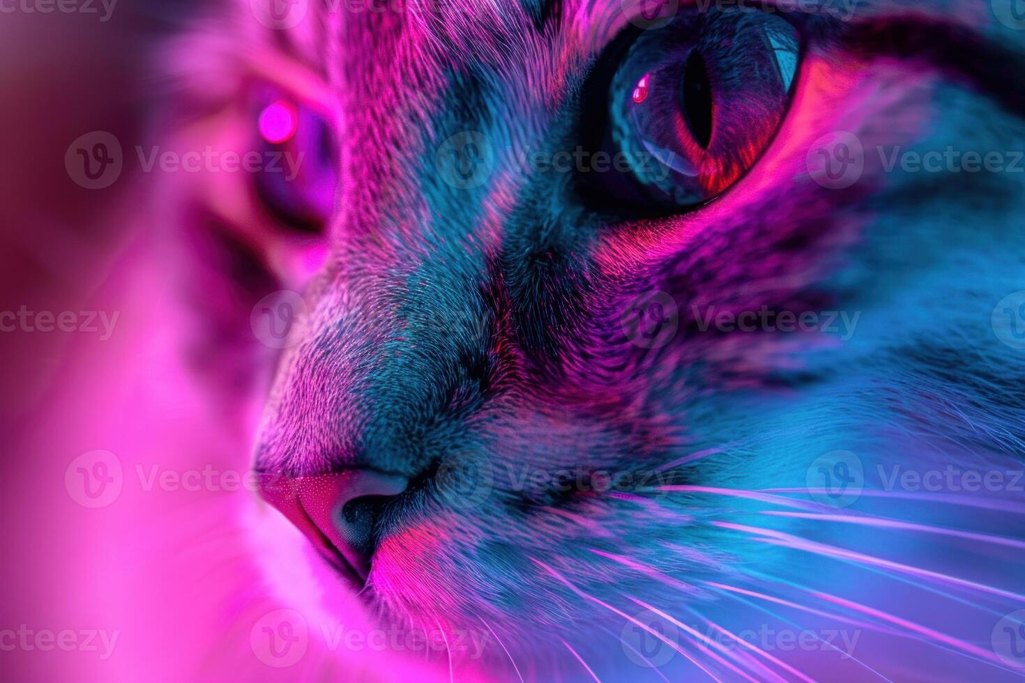 Closeup of cat face with neon lighting showing whiskers photo