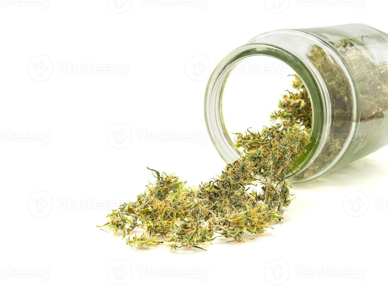 Little buds of cannabis outside a jar with white background. Medical marijuana flower buds. Space for text. Medical Cannabis concept photo