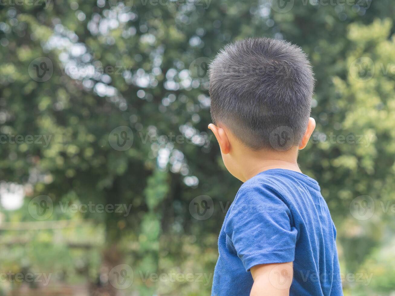 Back view of a little boy while standing in a garden. Space for text photo