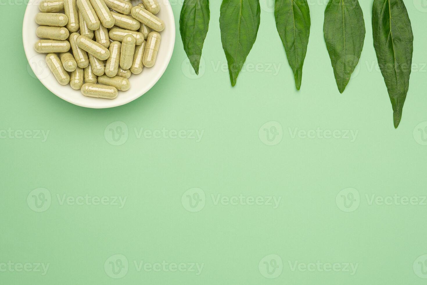 Andrographis paniculata capsules are in a white dish and green leaves isolated on green background. Space for text. Herbal, medicine, and healthcare concept photo