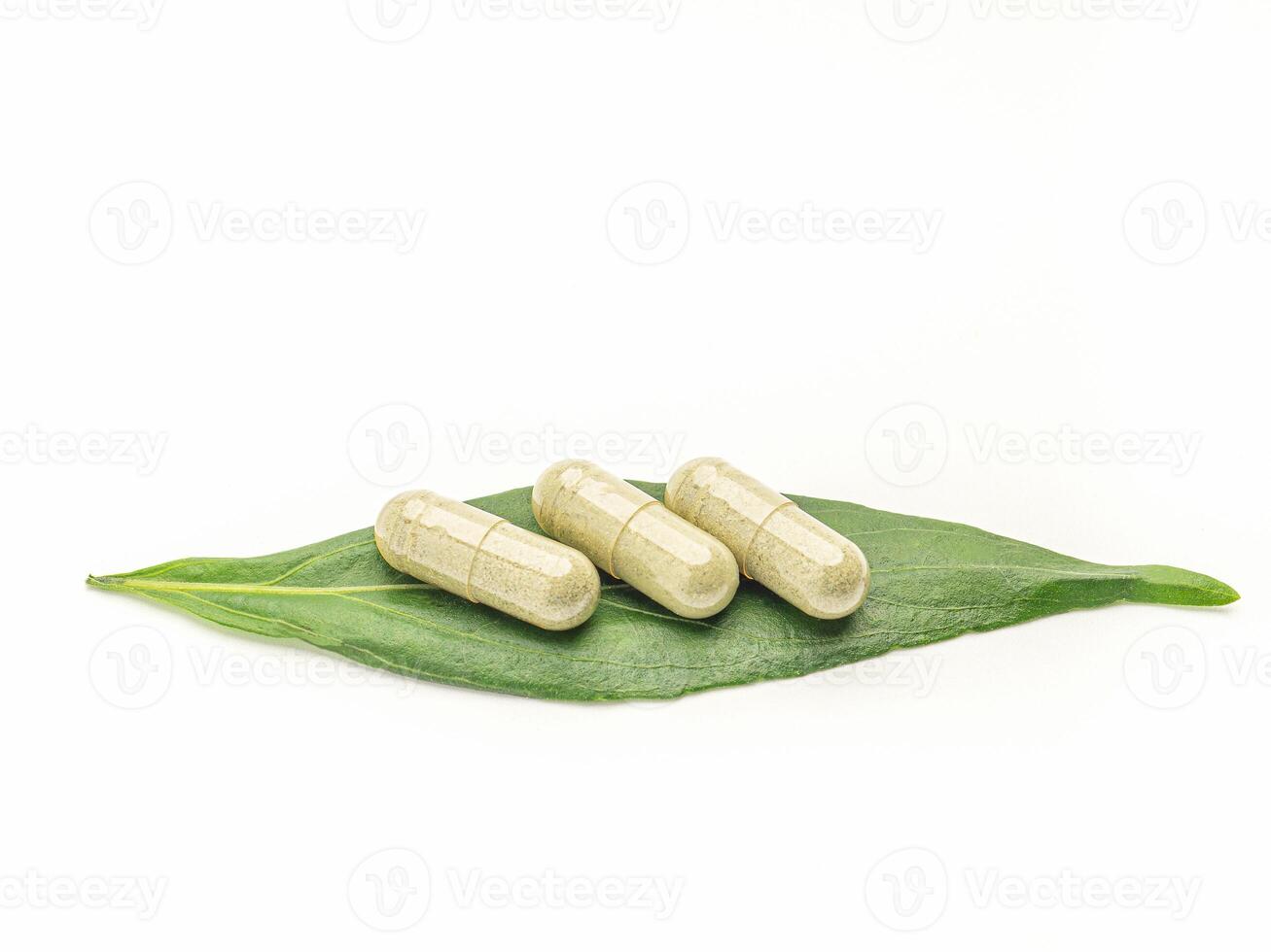 Close-up of three Andrographis paniculata capsules placed on green leaves isolated on white background. Space for text. Herbal, medicine, and healthcare concept photo