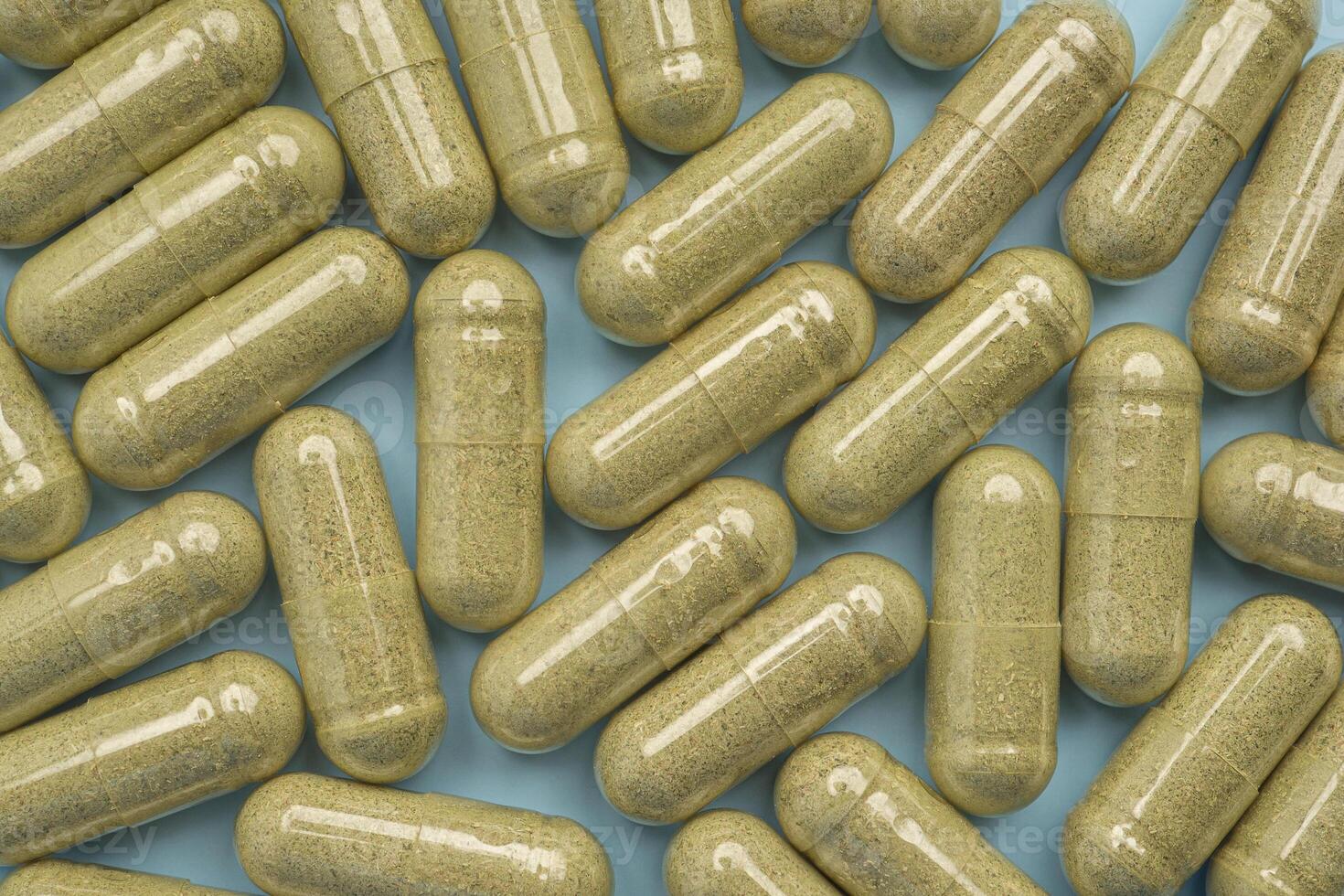 Full frame of andrographis paniculata capsules isolated on a light blue background. Close-up photo. Herbal, medicine, and healthcare concept photo