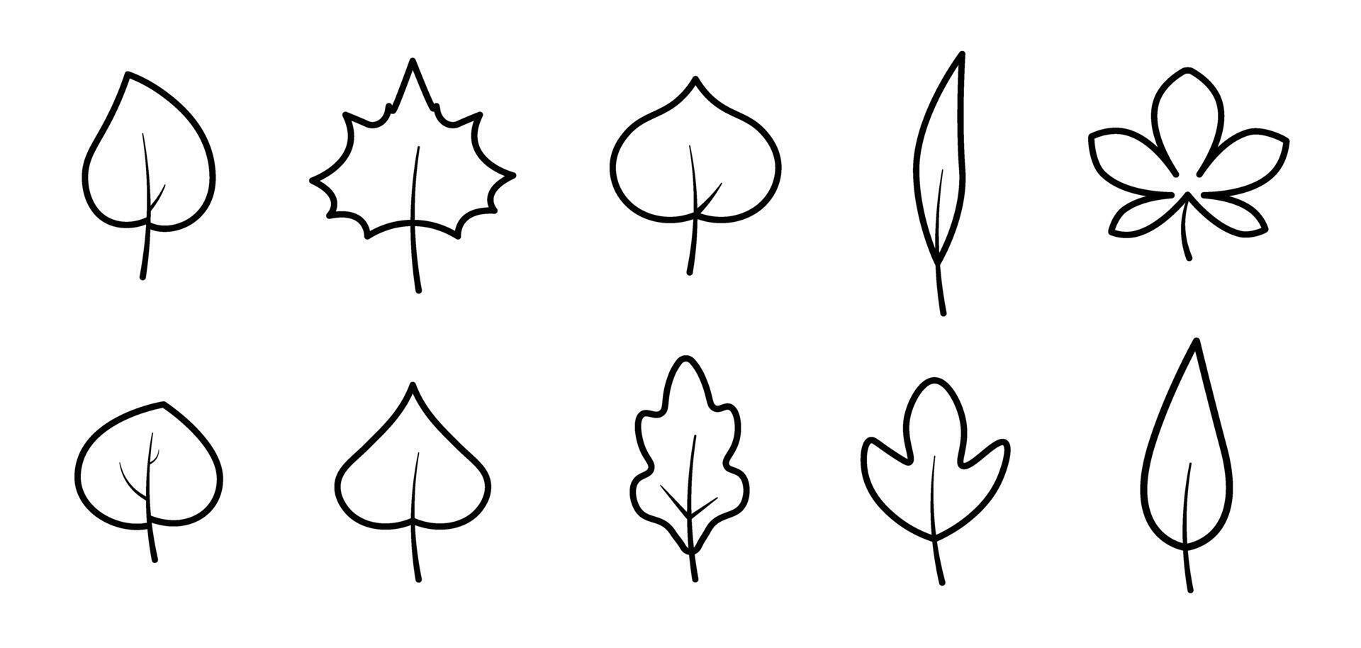 Simple Line Art Leaf Icons Set vector