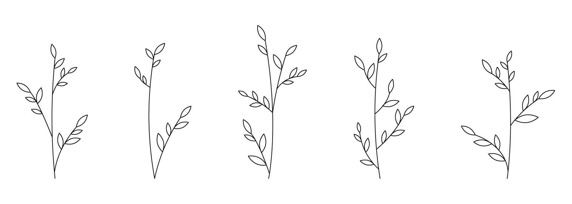 Elegant Line Art of Delicate Plant Stems vector