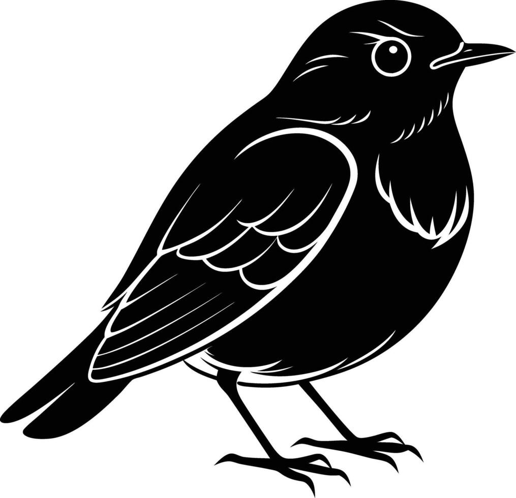 black and white illustration of a bird robin vector