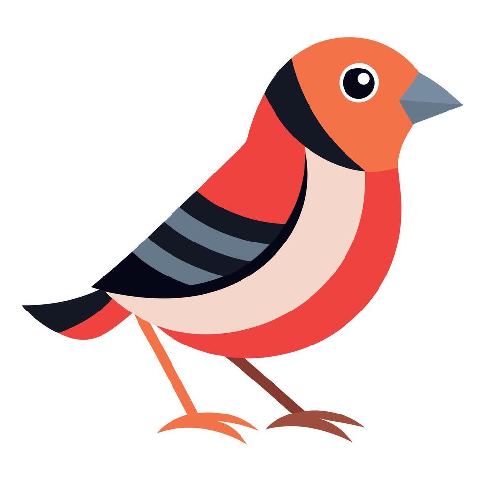 Finch bird walks kawaii vector