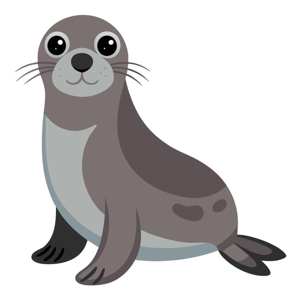 Fur Seal looks kawaii vector