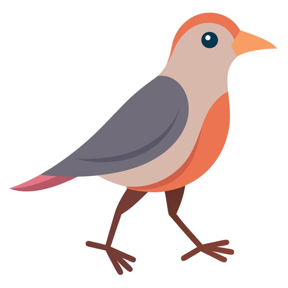 Galapagos Finch bird walks kawaii vector