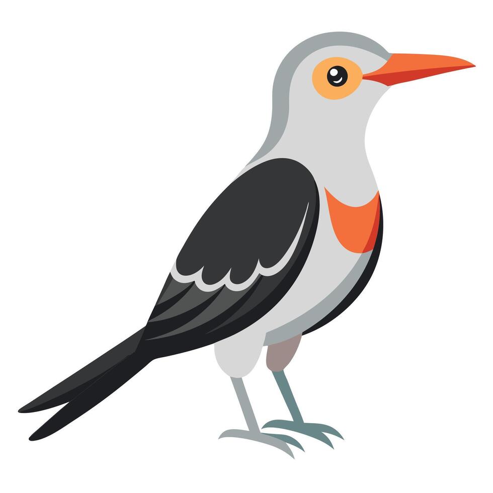 Galapagos Mockingbird bird goes kawaii vector