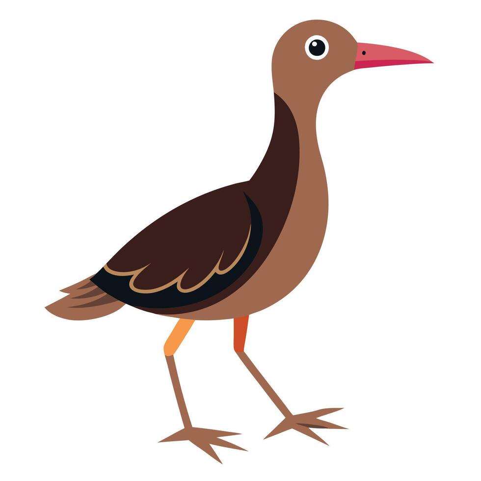 Galapagos Rail Bird walks kawaii vector