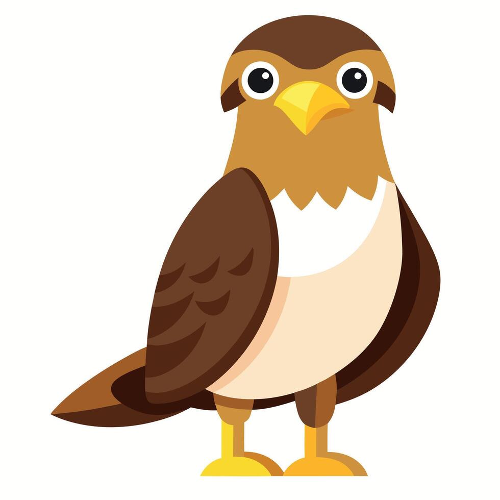 Galapagos Hawk bird stands kawaii vector