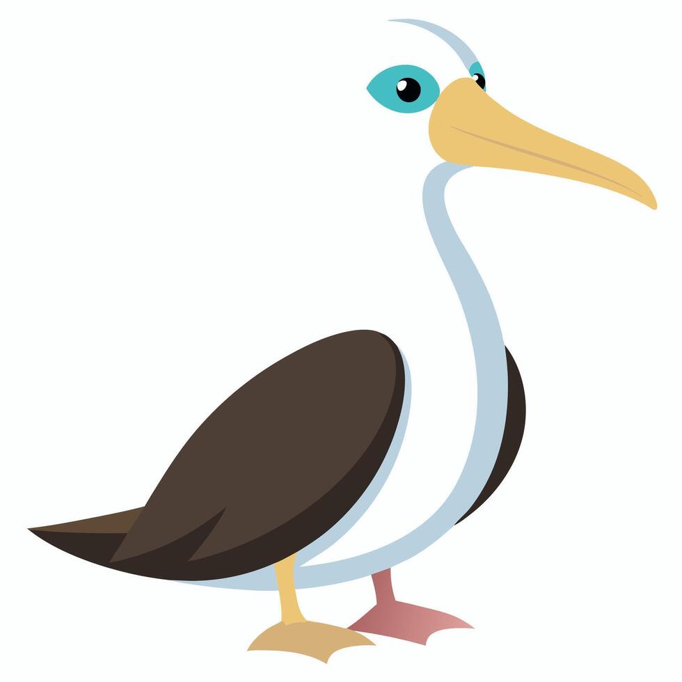 Galapagos Waved Albatross bird play kawaii vector