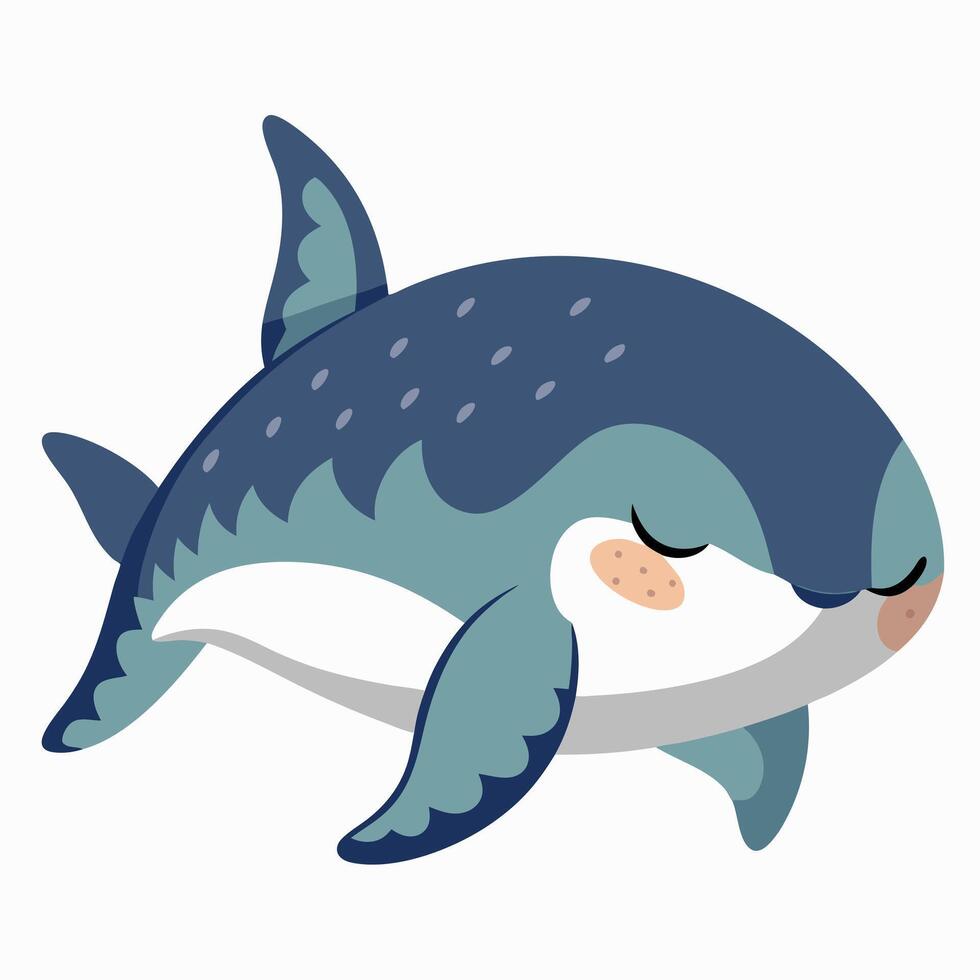 Galapagos Silky Shark fish sleeps kawaii vector