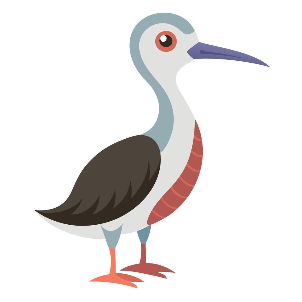 Galapagos Whimbrel Bird goes kawaii vector