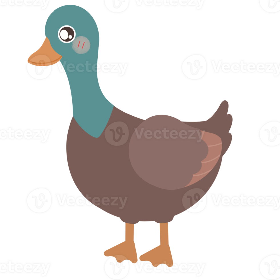 Duck, cartoon, farm, animal png