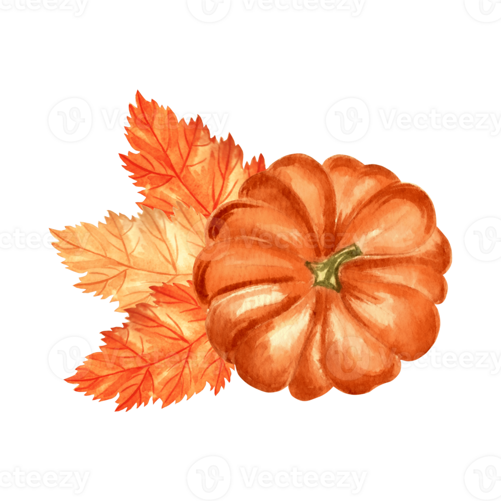 Pumpkin orange with autumn leaves. Fall composition. Hand drawn watercolor illustration, isolated. Thanksgiving traditional vegetables. Template for invitation, card, Halloween, wrapping, embroidery. png