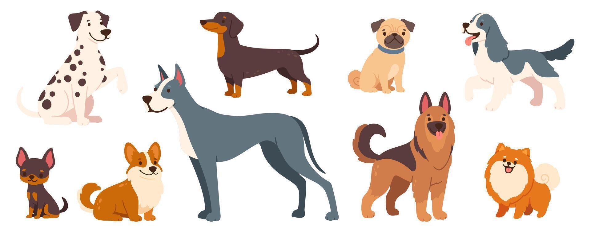 Cartoon dog pets. Cute little puppies, adorable dogs with different breeds and sizes. Home funny animals characters with happy muzzles. Dachshund, shepherd, Jack Russell. set vector