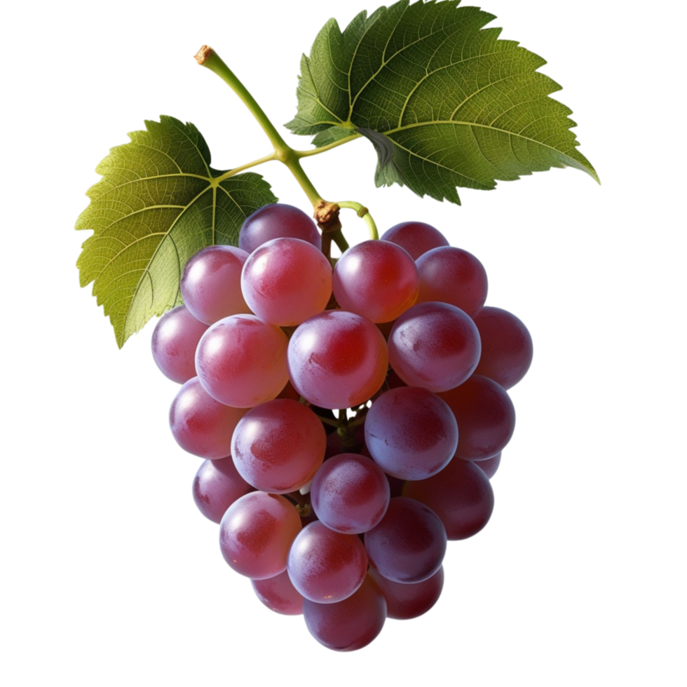 A fresh grapes with two leaves png