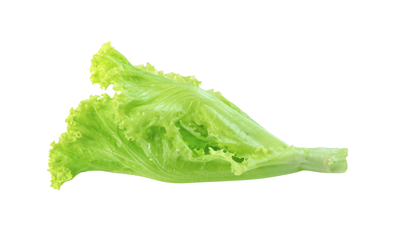 Lettuce leaf isolated,Green leaves pattern ,Salad ingredient png