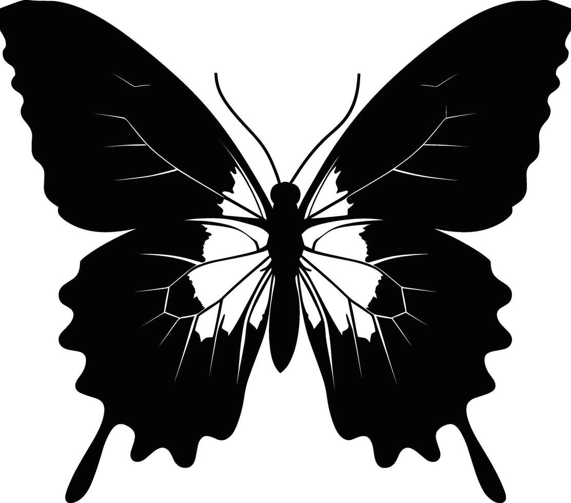 A cute colorful butterfly icon set vector
