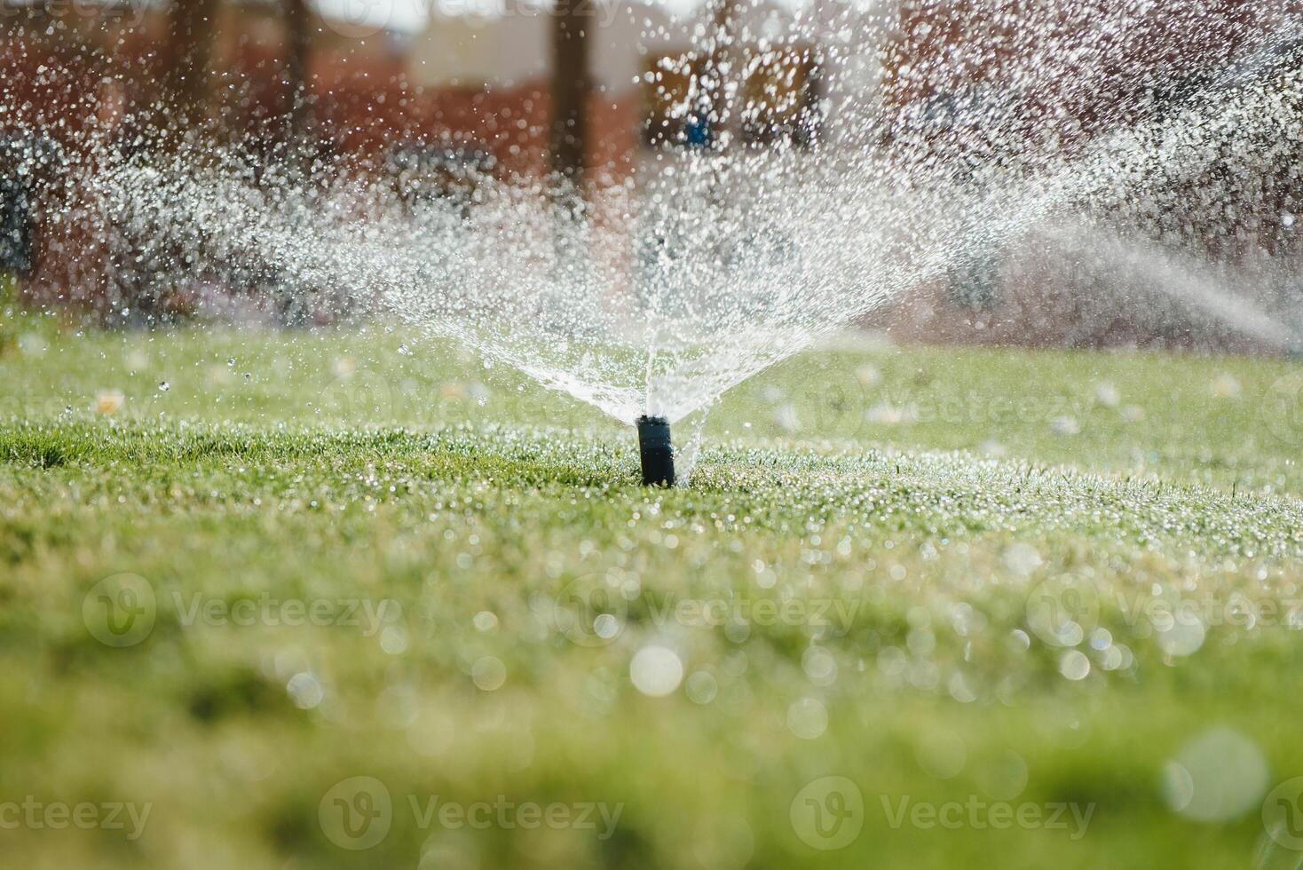 Modern device of irrigation garden. Irrigation system - technique of watering in the garden. Lawn sprinkler spraying water over green grass. photo