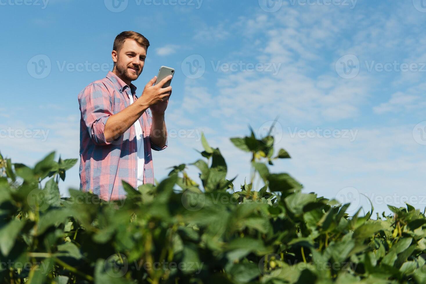 Farmer taking pictures of soybean plantation. Quality control. Agronomist's work. Brazilian Farm. photo