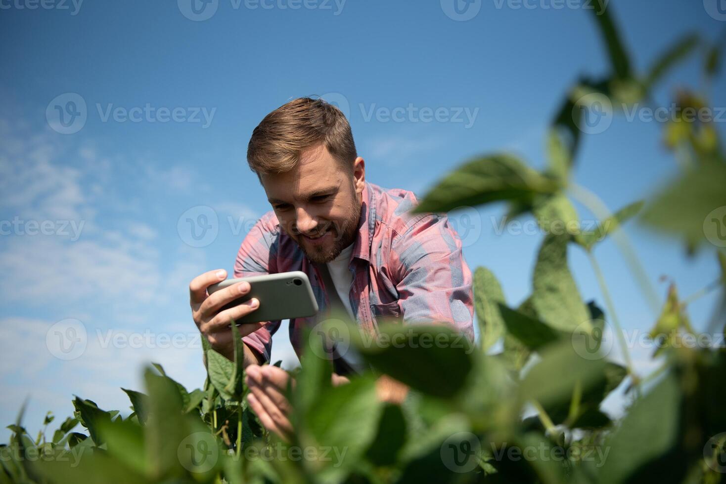 Farmer taking pictures of soybean plantation. Quality control. Agronomist's work. Brazilian Farm. photo