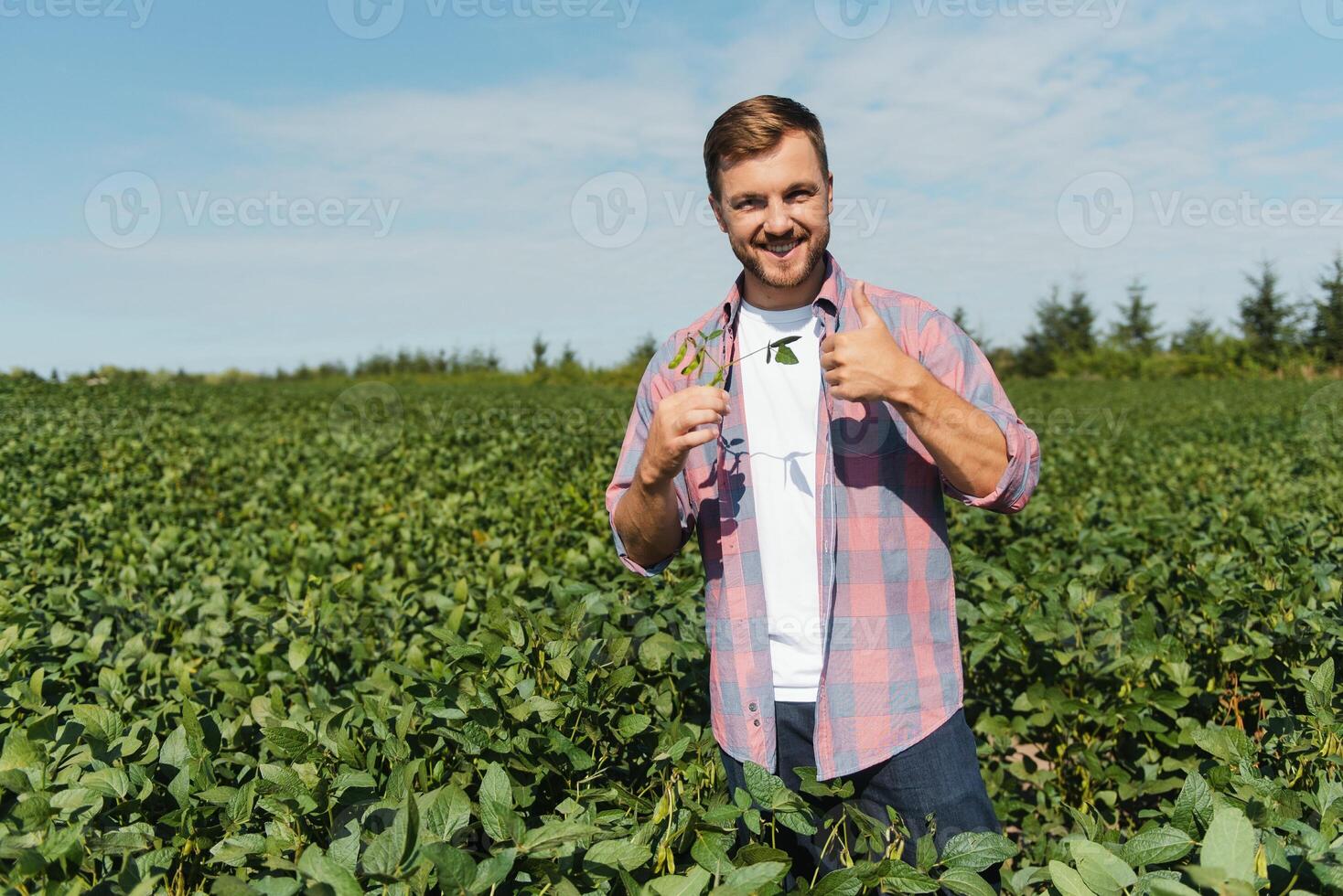 Young farmer in soybean fields photo