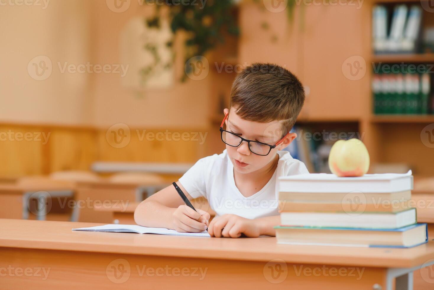 Concentrated schoolboy sitting at desk and writing in exercise book with classmate sitting behind photo