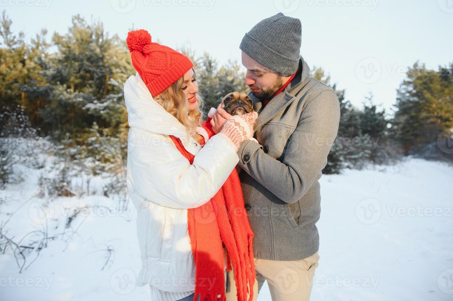 A loving couple walks by the hands on the background of a winter snowy forest. A man is holding a dog. A girl in a white down jacket and a red hat. photo