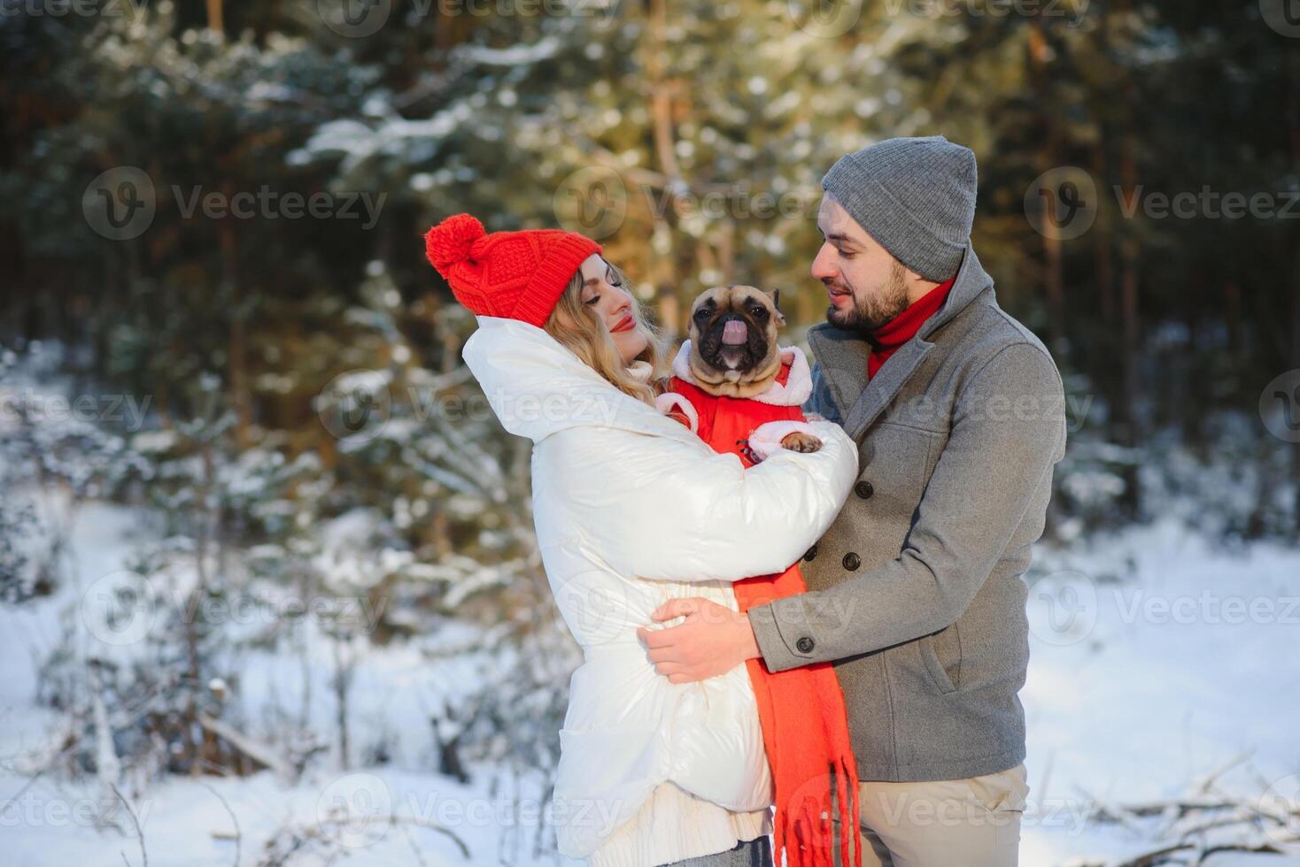 A loving couple walks by the hands on the background of a winter snowy forest. A man is holding a dog. A girl in a white down jacket and a red hat. photo