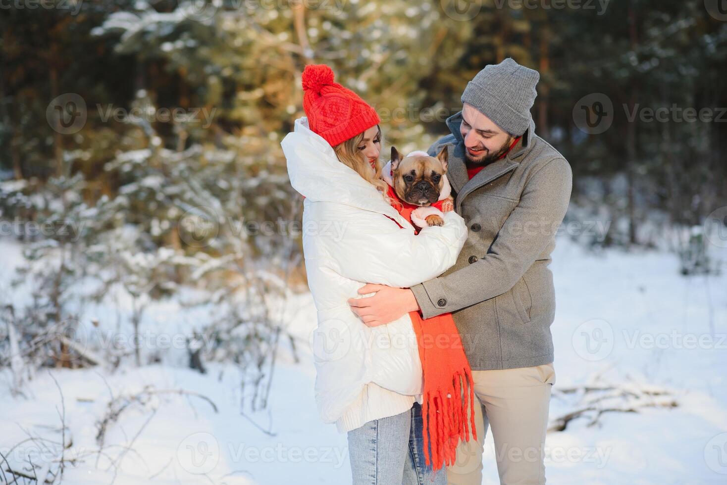 A loving couple walks by the hands on the background of a winter snowy forest. A man is holding a dog. A girl in a white down jacket and a red hat. photo